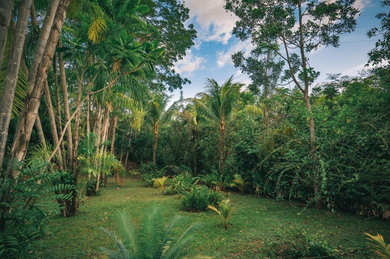 Huingos Eco Lodge Tarapoto Eksteriør billede
