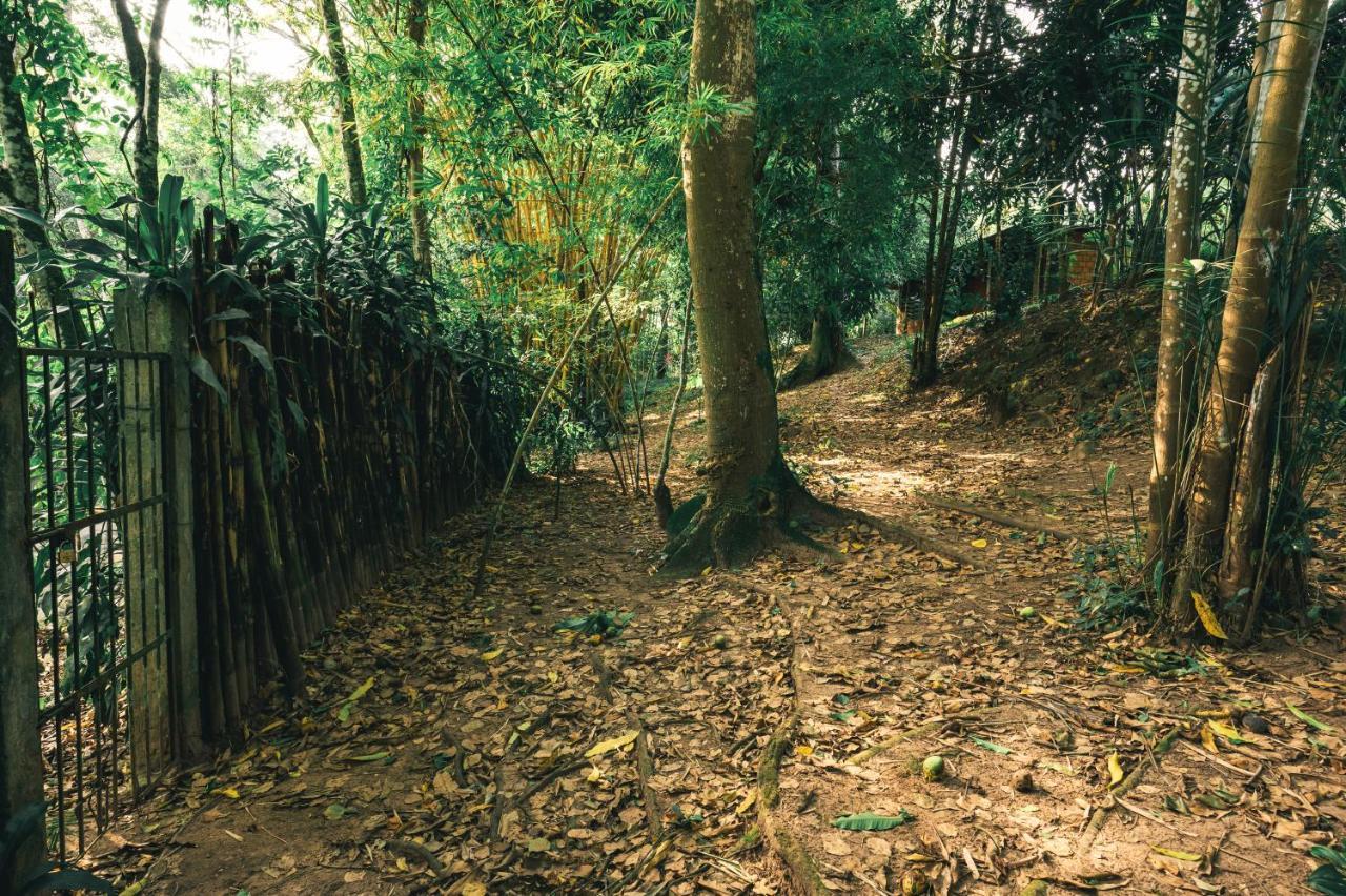 Huingos Eco Lodge Tarapoto Eksteriør billede