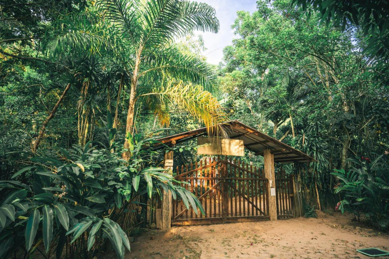 Huingos Eco Lodge Tarapoto Eksteriør billede