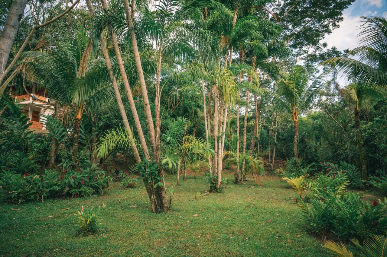 Huingos Eco Lodge Tarapoto Eksteriør billede