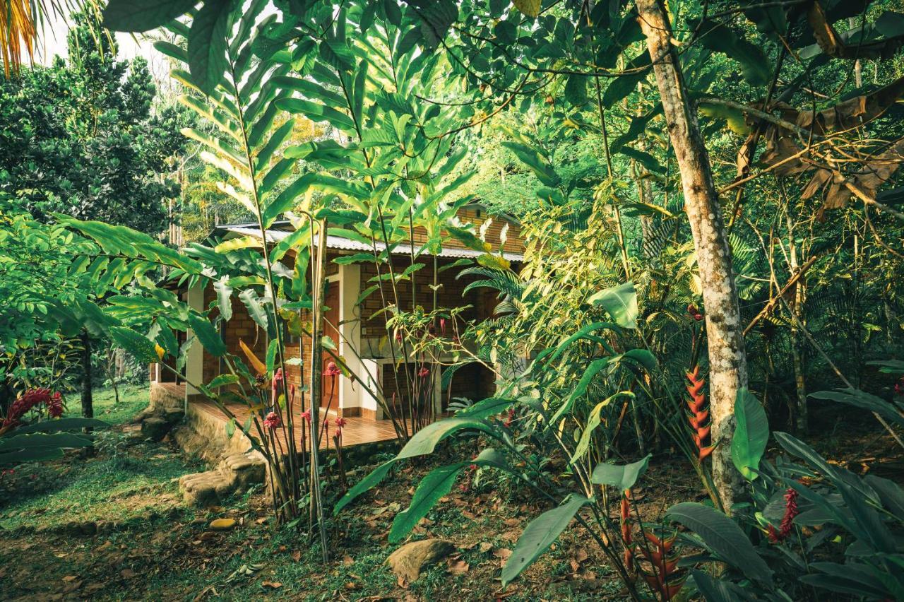 Huingos Eco Lodge Tarapoto Eksteriør billede