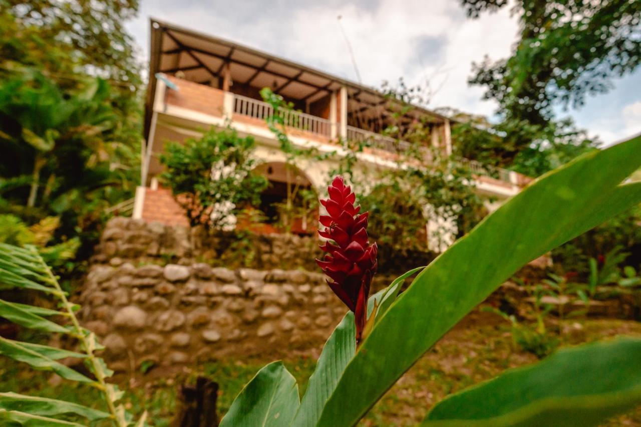 Huingos Eco Lodge Tarapoto Eksteriør billede