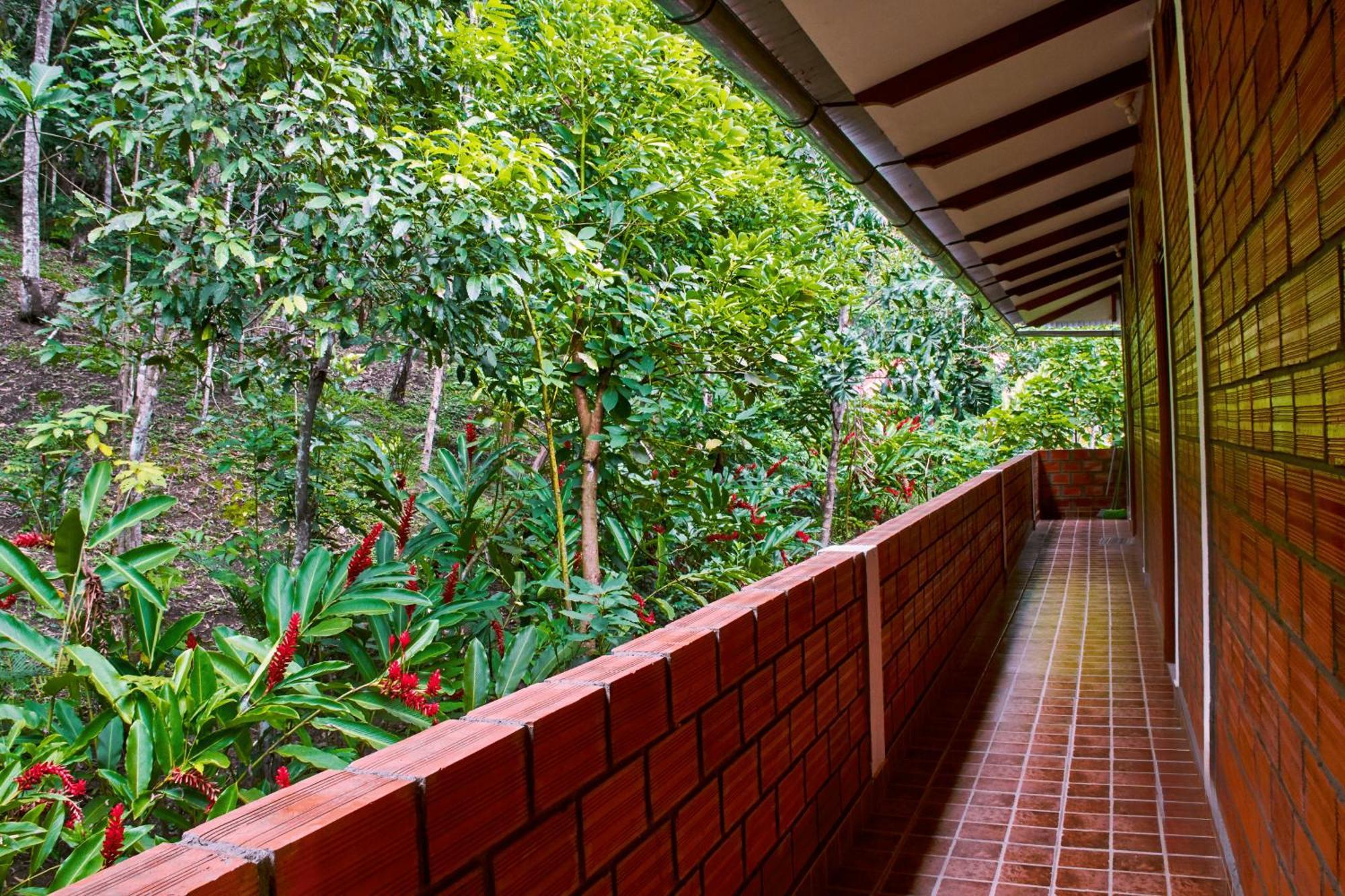 Huingos Eco Lodge Tarapoto Eksteriør billede