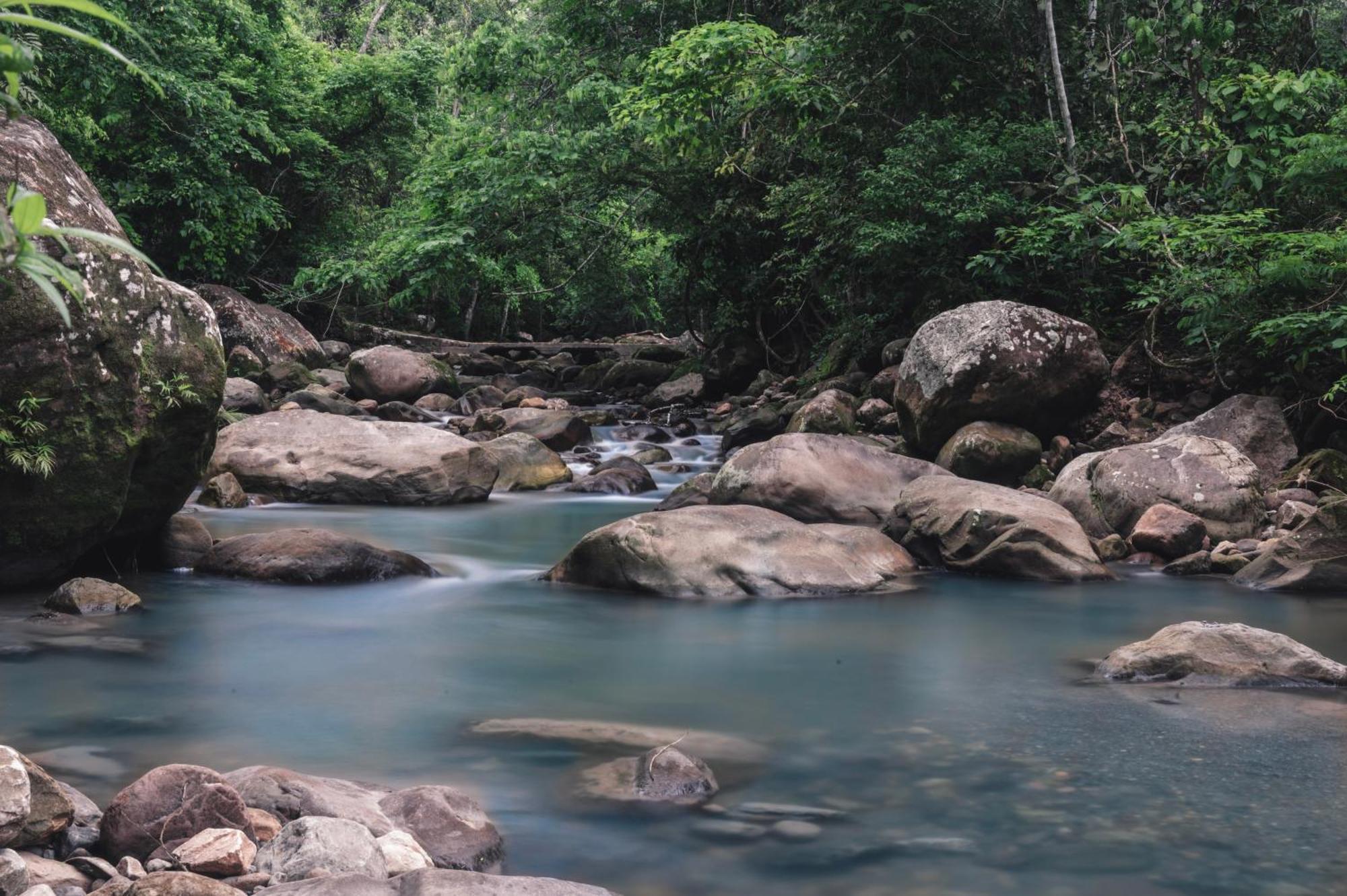 Huingos Eco Lodge Tarapoto Eksteriør billede