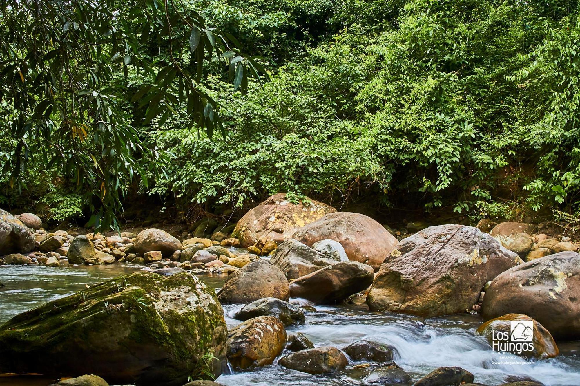 Huingos Eco Lodge Tarapoto Eksteriør billede